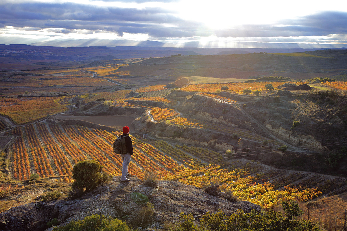 Bodegas Sonsierra